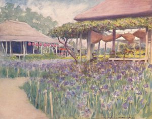 Ein Irisgarten, 1903