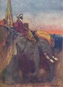 Jaipur-Elefanten
