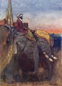 Elefanten von Jaipur von Mortimer Ludington Menpes