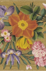 Seite aus dem St. Petersburg Album, Indien, 1727 (Farbe auf Goldgrund) von Muhammad Sadiq