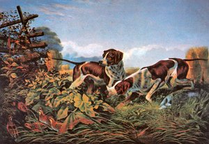 Amerikanische Feldsportarten: Auf einem Punkt von Currier and Ives