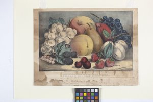 Früchte der Saison von N. and Ives J.M. (1824 95) Currier