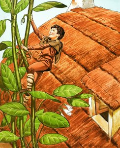 Hans und die Bohnenranke von Nadir Quinto