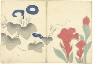 Blaue Winde und rote Blumen (Prentenalbum van Korin, Korin gafu) von Nakamura Hochu