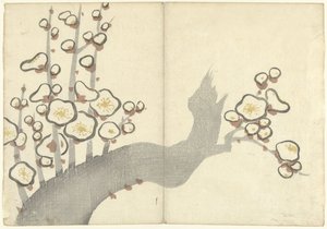 Pflaumenblüte (Prentenalbum von Korin, Korin gafu)