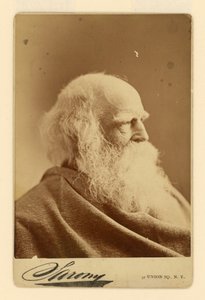 William Cullen Bryant von Napoleon Sarony