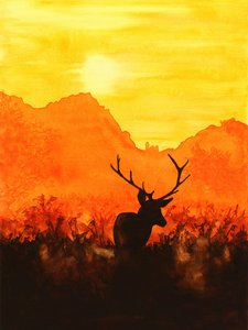 Hirsch-Silhouette bei Sonnenuntergang