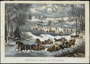 Central Park im Winter, 1877-94