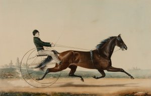 Mac von Nathaniel Currier