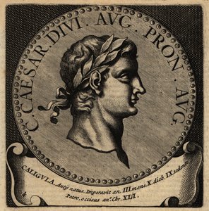 Porträt des römischen Kaisers Caligula von Netherlandish School