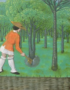 Mann mit Spaten in einem Obstgarten, aus 