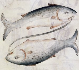 Zeichnung von Fischen, aus einer Übersetzung eines persischen astrologischen Traktats von Jafar ibn Muhammad (Pergament) von Netherlandish School