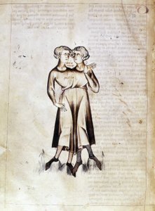 Zeichnung von Zwillinge, aus einer Übersetzung eines persischen astrologischen Traktats von Jafar ibn Muhammad (Pergament)