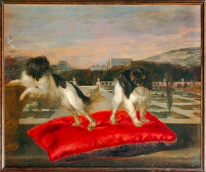 Zwei kleine Hunde auf der Terrasse eines italienisierenden Gartens von Nicasius (1620-78) Bernaerts