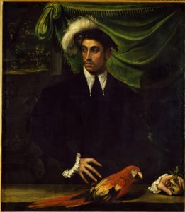 Bildnis eines jungen Mannes mit Papagei von Niccolò dell Abbate