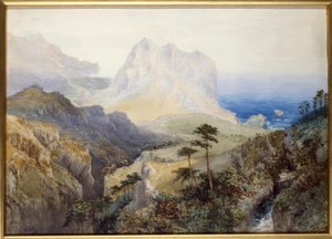 Eine Schlucht in der Nähe des Meeres, Südalpen, Neuseeland