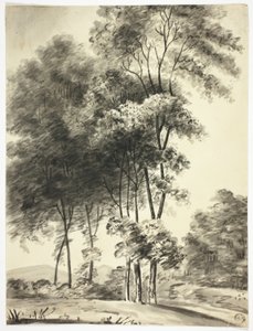 Bäume mit Bergen in der Ferne von Nicholas Pocock