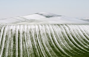 Verschneite Feldmuster von Nicola Figliuolo
