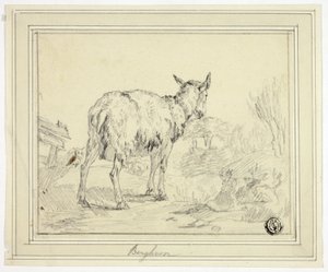 Ziege