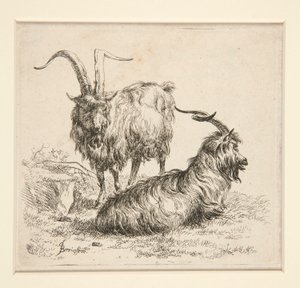 Ziegen (aus von Nicolaes Berchem