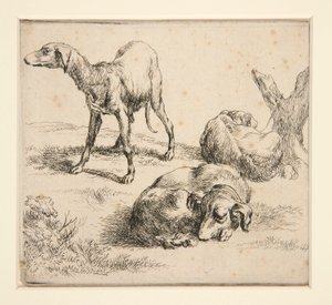Drei Jagdhunde