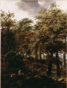 Ein Weg durch den Wald