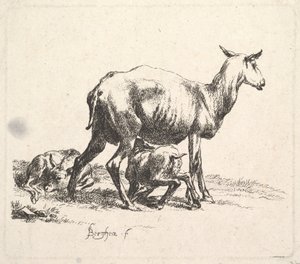 Schaf mit säugendem Lamm