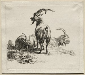 Drei Ziegen von Nicolaes Pietersz. Berchem