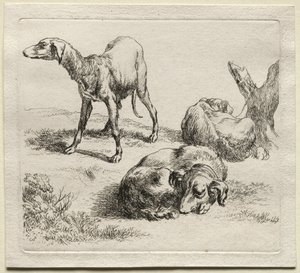 Drei Jagdhunde