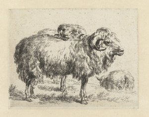 Zwei Widder und ein Schaf von Nicolaes Pietersz Berchem