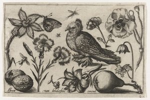 Blumen, eine Birne und eine Taube, Vögel, Blumen, Insekten etc. (Serientitel)