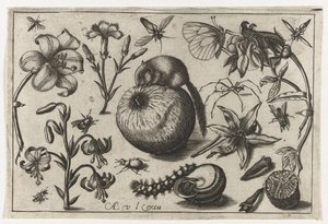 Blumen und eine Maus auf einem Apfel