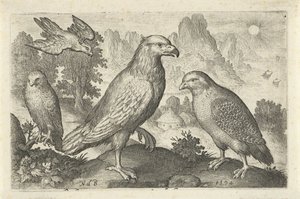 Adler und andere Raubvögel von Nicolaes de Bruyn