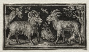 Ziegen und Hase, 1594