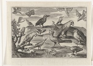 Hopfen und andere Vögel