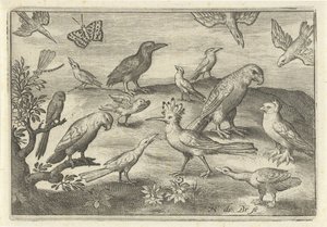 Hopfen und andere Vögel von Nicolaes de Bruyn