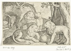 Löwen. Animalivm qvadrvpedvm. Tiere in Landschaften von Nicolaes de Bruyn