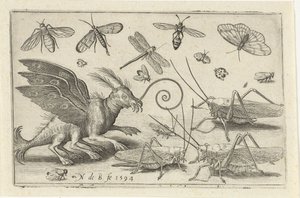 Heuschrecken und Fantasiewesen mit Flügeln und Schwimmhäuten von Nicolaes de Bruyn