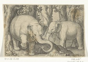 Zwei Elefanten von Nicolaes de Bruyn