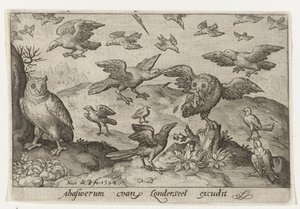 Eule mit Beute, bedrängt von anderen Vögeln von Nicolaes de Bruyn