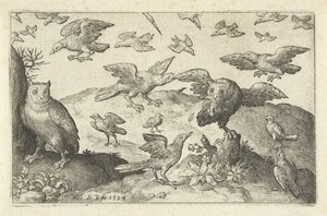 Uil met prooi belaagd door andere vogels von Nicolaes de Bruyn