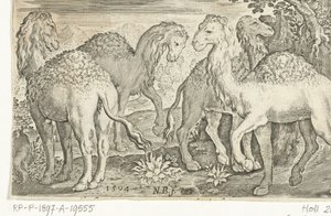 Vier Dromedare (Animalivm qvadrvpedvm, Tiere in Landschaften) von Nicolaes de Bruyn
