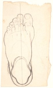 Skizze eines Fußes von oben gesehen. Ferse links. von Nicolai Abildgaard