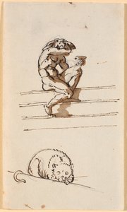 Studie von Lucius mit Eselkopf. Unten Studie zur Katze in Simo vertraut sich Sosia an von Nicolai Abildgaard