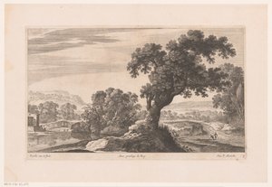 Landschaft mit Baum am See von Nicolas Perelle