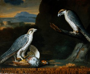 Zwei Gerfalken, einer hält ein Rebhuhn von Nicolas Spheyman