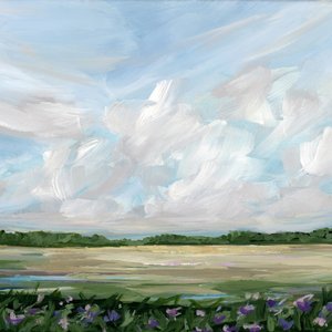 Wolkige Wiese mit Blumen