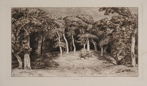 Hestehaven von Niels Skovgaard