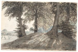 „Hoppehøj bei Nysø“ von Niels Skovgaard