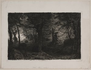 Der Trollwald von Niels Skovgaard